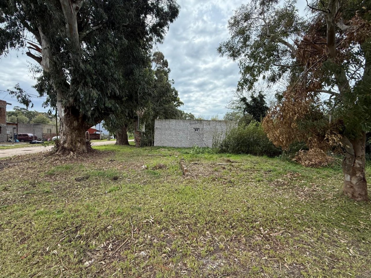 Lote en Venta - Felix U Camet